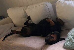 82893154_3050378884990753_3862548786047877120_n