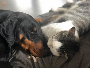 83133349_3050378771657431_1509570838632857600_n