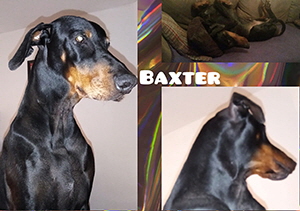 83316131_10212807123573257_5477609007927525376_o