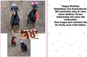 83442591_1816679745135165_3769649858911141888_o