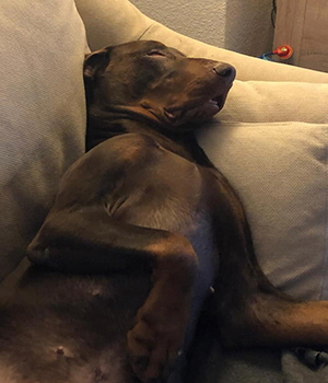 84692799_2869096289818988_876547750747963392_n