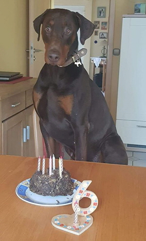 86807733_2724272111003556_4426953316043325440_o