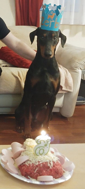 86857579_2904741396256964_2864882390617030656_o