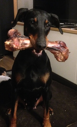 87024520_3235490046480153_1571141986549760_o