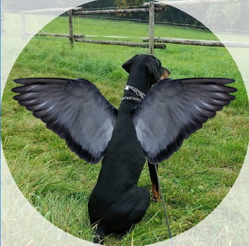 89925835_1094479860900907_5801225722710196224_n