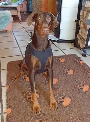 90606962_2794987553932011_8950114771395411968_n