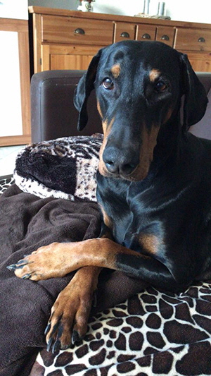 91273602_839442316524123_7819751079272251392_n