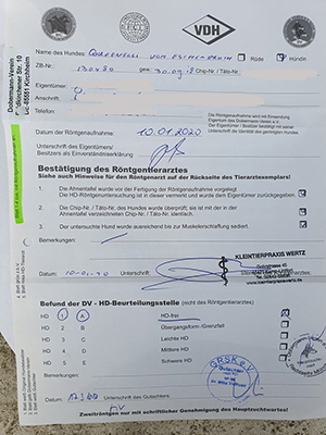 91333978_209845417119396_1526684762888994816_n