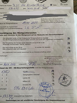 91500046_2554664051304886_2686233621076901888_n