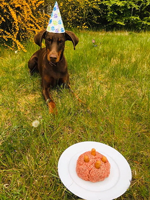 94990650_3504004609616288_8737507142849789952_n