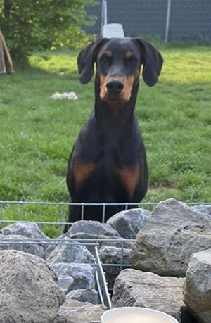 95491622_690067521794099_6812699209637036032_o