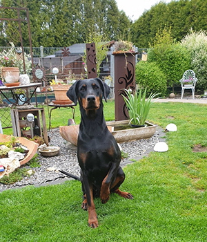 95568032_159029818885180_8314241629112238080_n