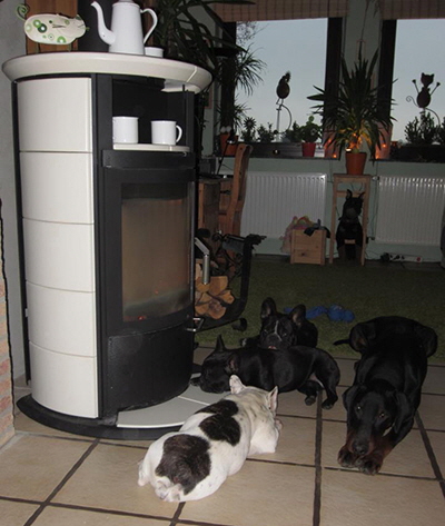 248902_359989150765209_992357471_n