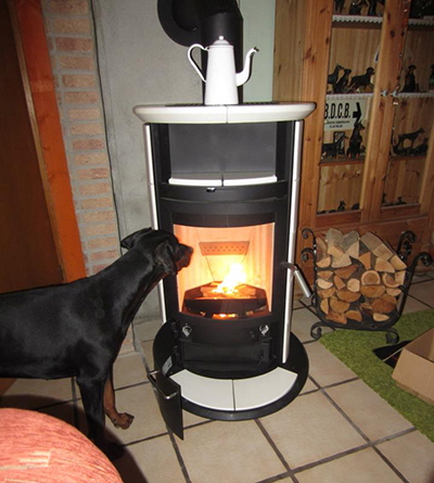 60775_357012804396177_713329735_n