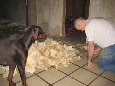 haus_januar_2011__15_