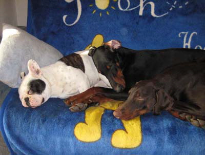 haus_januar_2011__95_