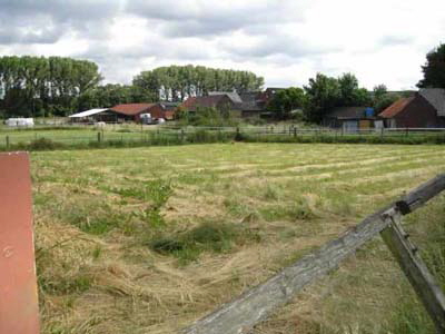 neues_haus_jan__2011__17_