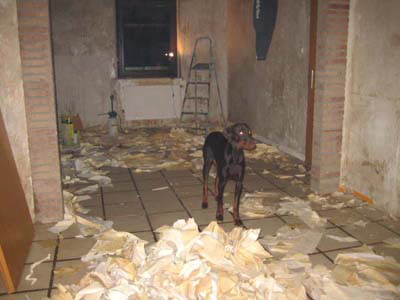 neues_haus_jan__2011__2_