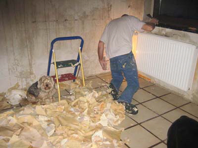 neues_haus_jan__2011__3_