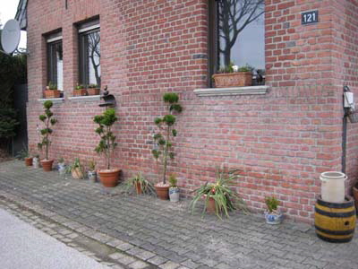 neues_haus_jan__2011__8_