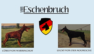 banner-eschenbruch02-2018