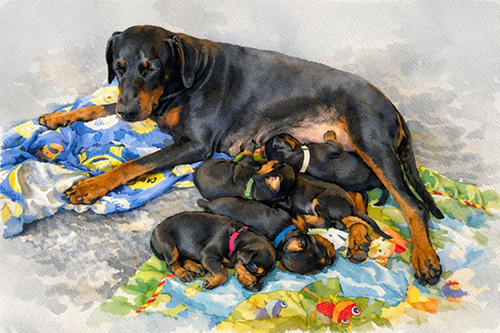 02820441-b0fe-4ffb-a158-04ac26e97032 02820441-b0fe-4ffb-a158-04ac26e97032