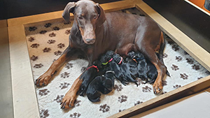 118727629_3198527526911343_2929119779645224770_n