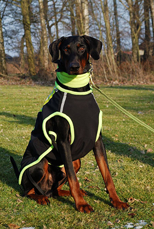 16422780_187019458442067_2816815819583414844_o