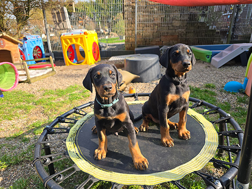 20260304_140408 20260304_140408