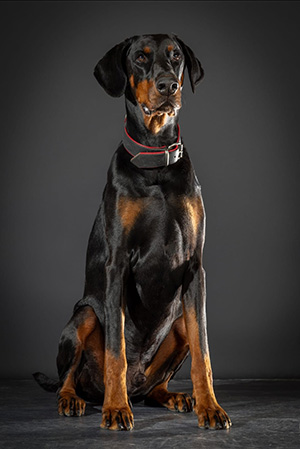 415930795_1540055570166179_4709979594302262786_n