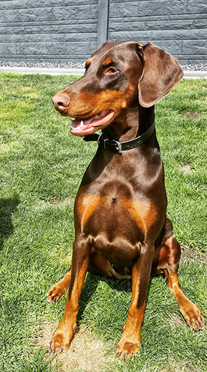 416710378_7215448071847758_4049296786678589090_n