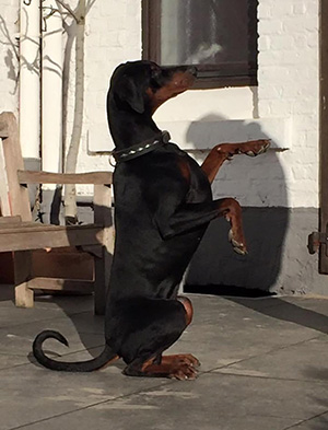 418102108_7166598806730367_5291836855498691272_n