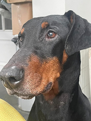 418734923_2161745924174968_6967287660860926335_n