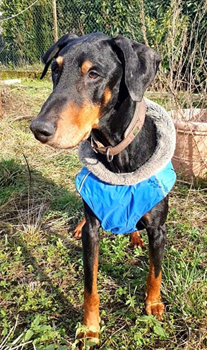 421540600_6983261435104581_8838190130437130536_n (1)