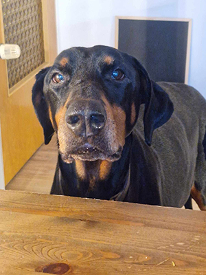 423147575_430943872696739_9156636411442299416_n