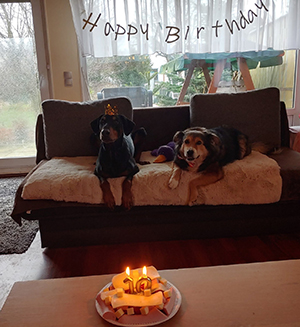 427939473_7381320751932317_6520400631344964432_n