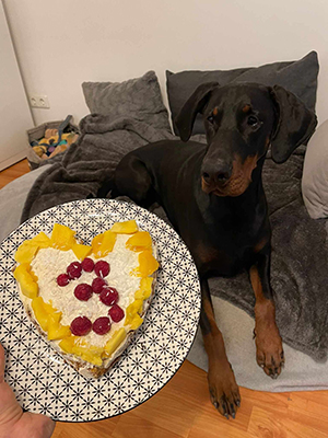 429427433_367403102776154_2881412797326494913_n