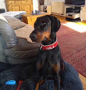 429487448_786013869556952_8017488599949999287_n