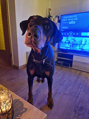 429620754_1570253873676981_8791615271255782049_n