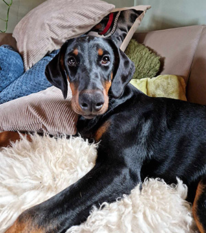 449809816_865413858976320_7457447181292389339_n