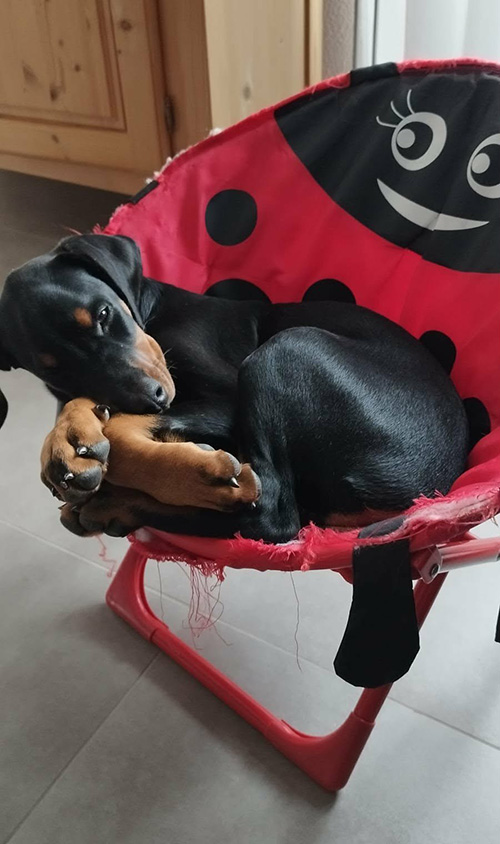 44cbde4e-0e02-44b7-b95b-39059a62796d