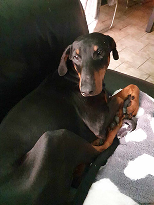 452602513_1049227800210095_7759090862992247921_n