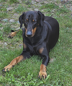 452602513_1049227800210095_7759090862992247921_n1