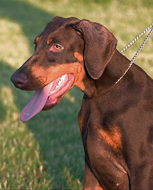 453839839_3346448872327987_1965219192210108513_n klein