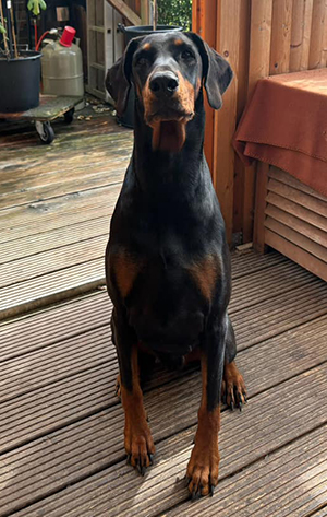 454648624_2006007409824858_5970244364219679583_n