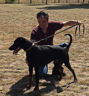 457051076_7993127167451331_6674816040573276562_n