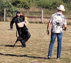 457071226_7993127790784602_7916778757968223445_n