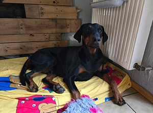 457460726_8016183005145747_7733422667134780564_n (1)