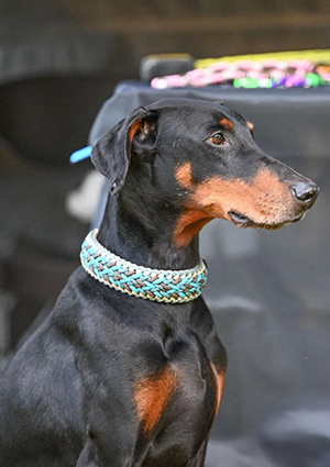 461248663_2338838886465670_2238549958682321841_n