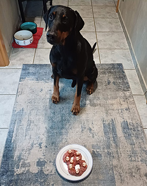 461420779_2848125705353262_8891577548966968491_n